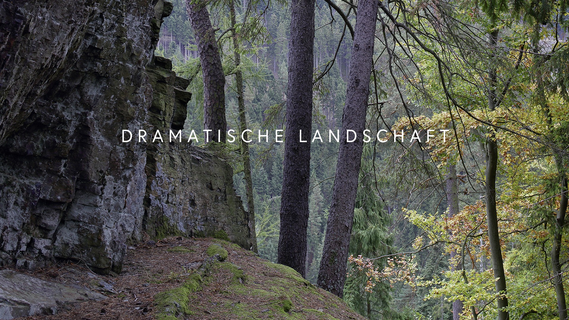 Sommerfrische Schwarzatal Startseite